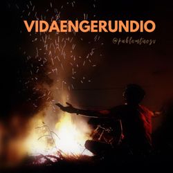 cover art for VidaEnGerundio