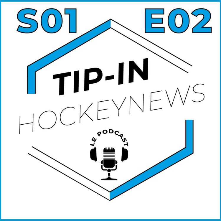 cover art for L'invité du jour : Anouk Raes et Gilles Verdussen