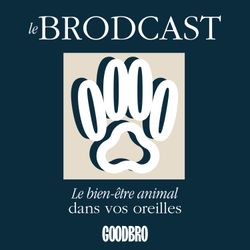 cover art for Le Brodcast - le podcast qui prend soin des animaux et de leur famille