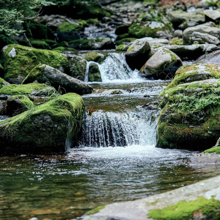 cover art for Birds and splashing water