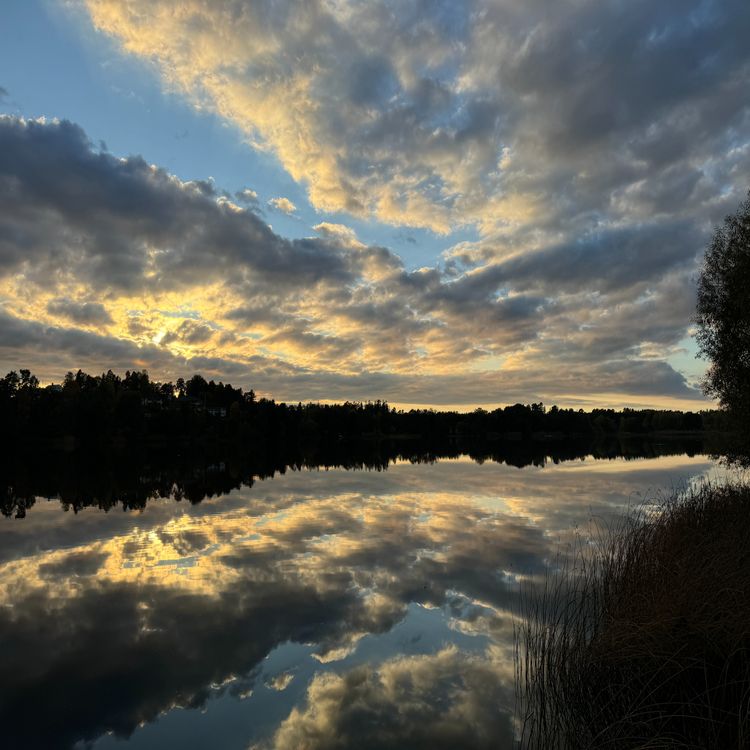 cover art for Fokus & närvaro – meditation för tonåringar