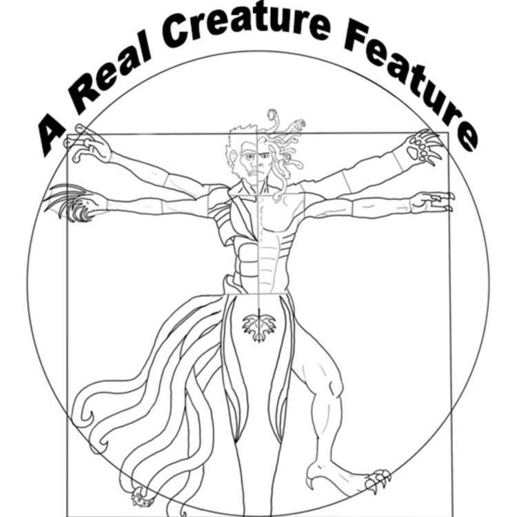 cover art for Where the Dobhar-Chu Sing