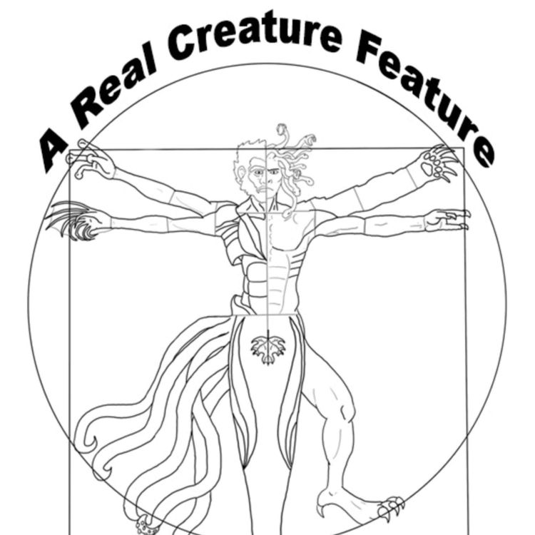 cover art for Kelpie