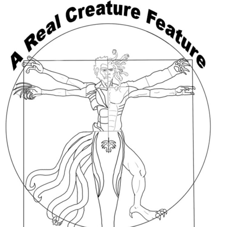 cover art for U U Unicorn