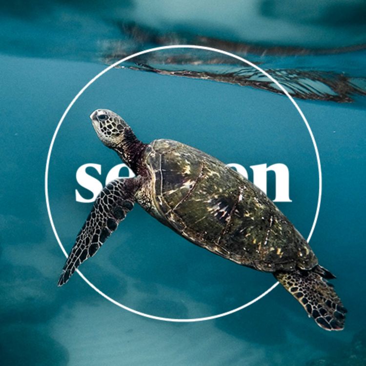 cover art for Indonesien – Bawah Reserve