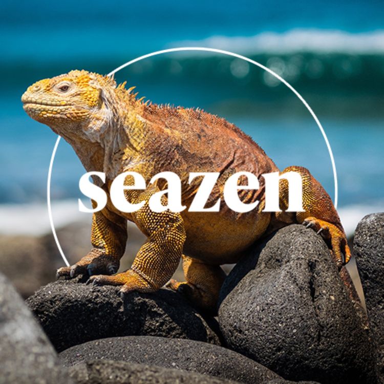 cover art for Das letzte Paradies – Abenteuer Galapagos