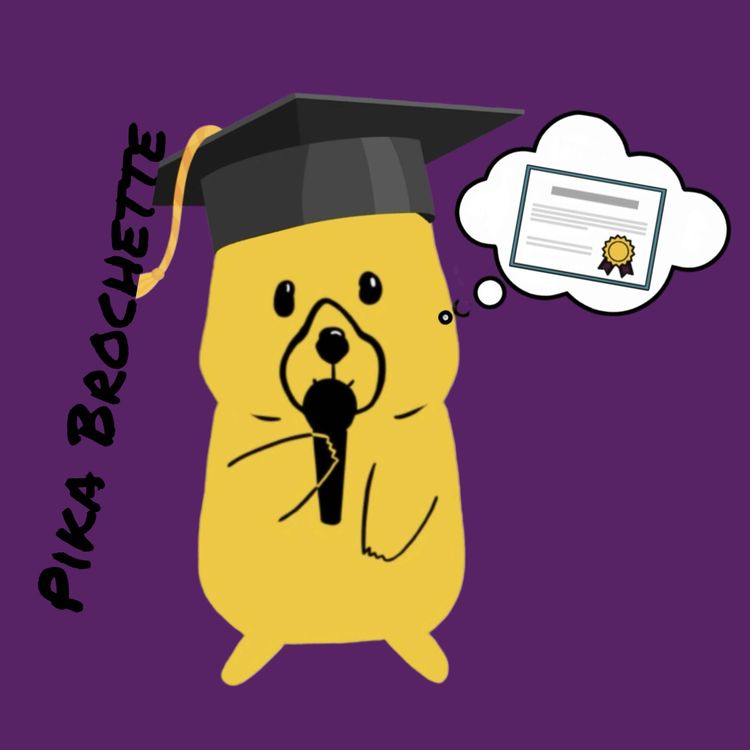 cover art for Mais quel beau chapeau vous avez là ! 