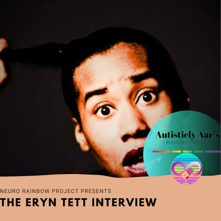 cover art for The Variety D Interview: Part One