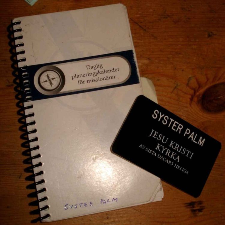 cover art for The miseducation of Syster Palm.