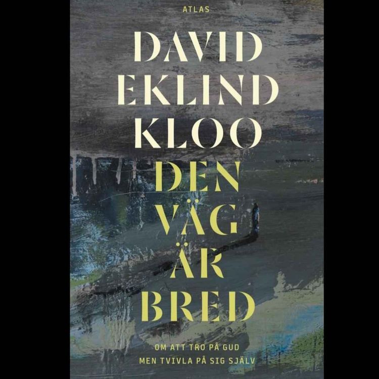 cover art for Den väg är bred.