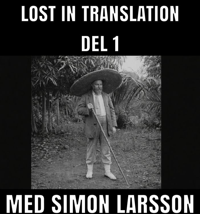 cover art for Lost in translation. Del 1.