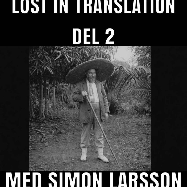 cover art for Lost in translation. Del 2.