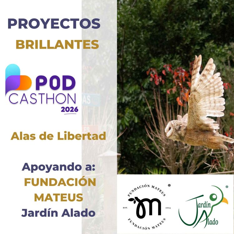 cover art for 8.3. Alas de Libertad_Fundación Mateus_Jardín Alado