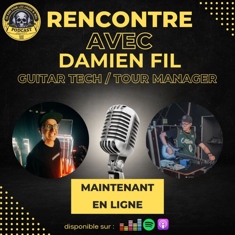 cover art for Damien FIL - De Backliner à Tour Manager
