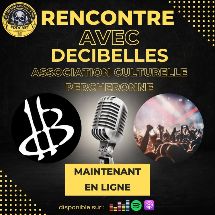 cover art for DECIBELLES - 33 ans de résistance Punk, Rock et Metal dans le Perche !