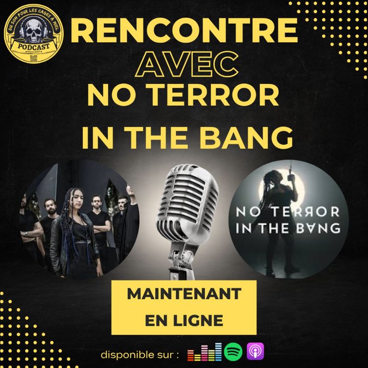 cover art for Interview - No Terror in the Bang 