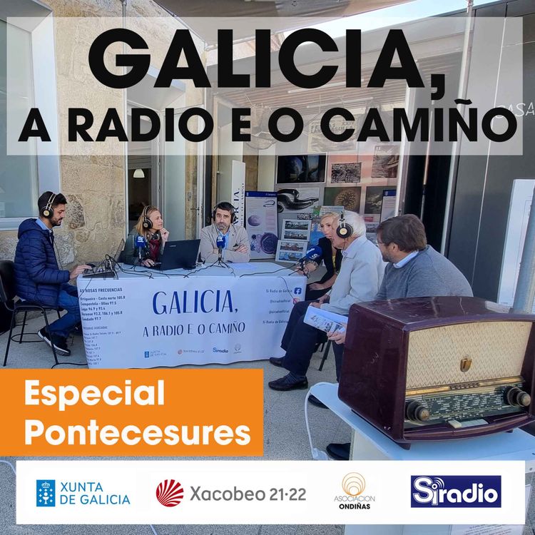 cover art for Pontecesures