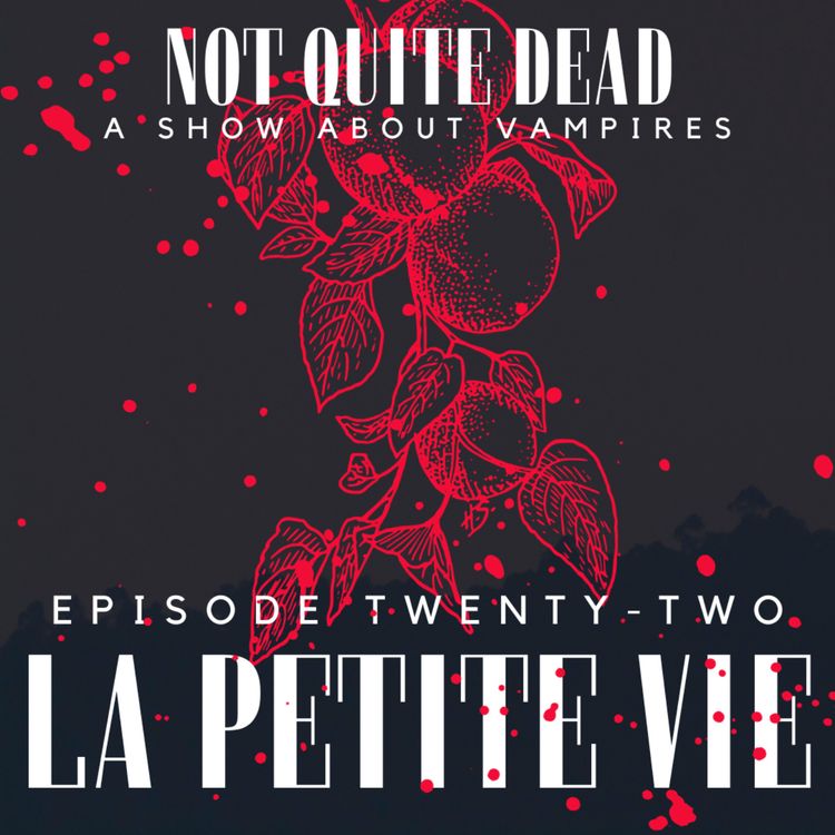 cover art for XXII: La Petite Vie