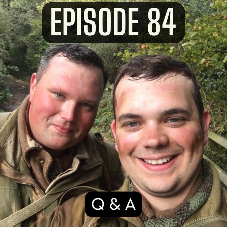 cover art for 84. Q & A