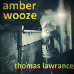 cover art for Amber Wooze