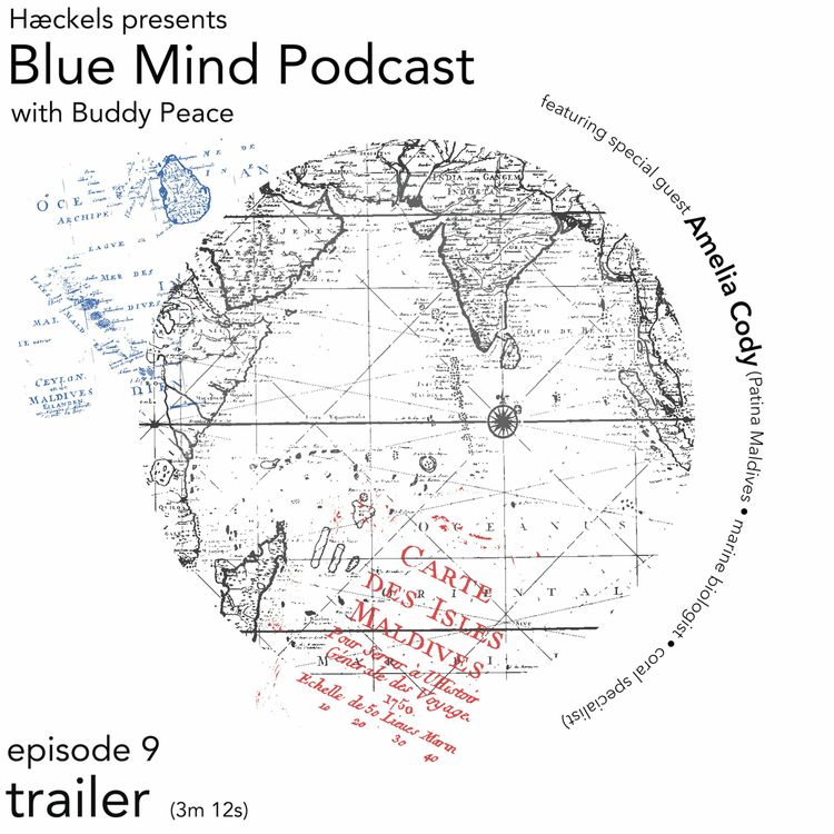 cover art for Blue Mind by Hæckels • Episode 9 Trailer