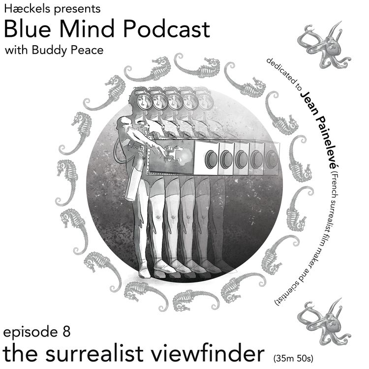 cover art for Blue Mind Podcast • Episode 8 • 'The Surrealist Viewfinder'