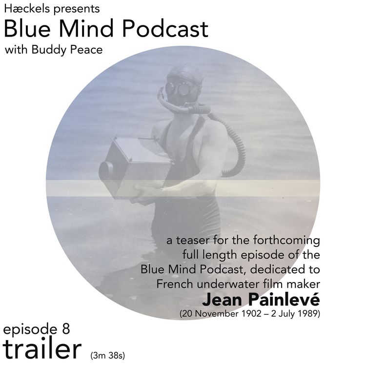 cover art for Blue Mind by Hæckels • Episode 8 Trailer