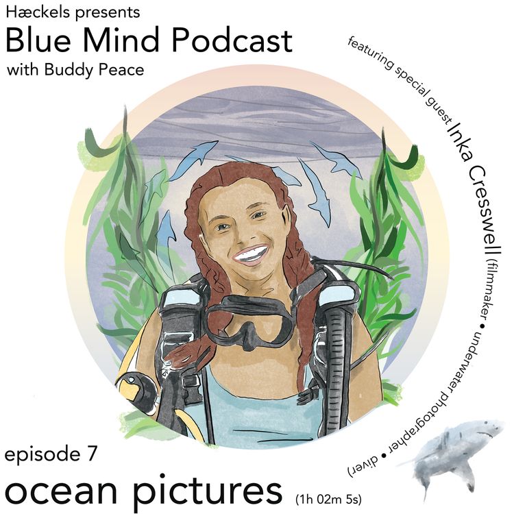 cover art for Blue Mind by Hæckels • Episode 7 • 'Ocean Pictures'