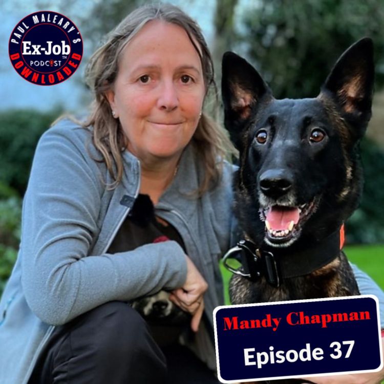 cover art for Mandy Chapman 