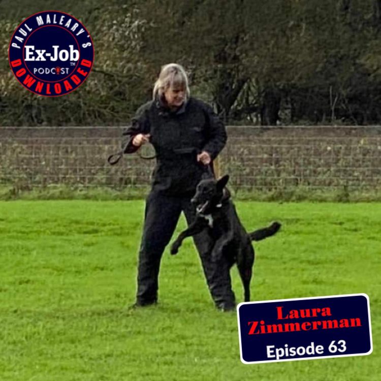 cover art for Laura Zimmerman