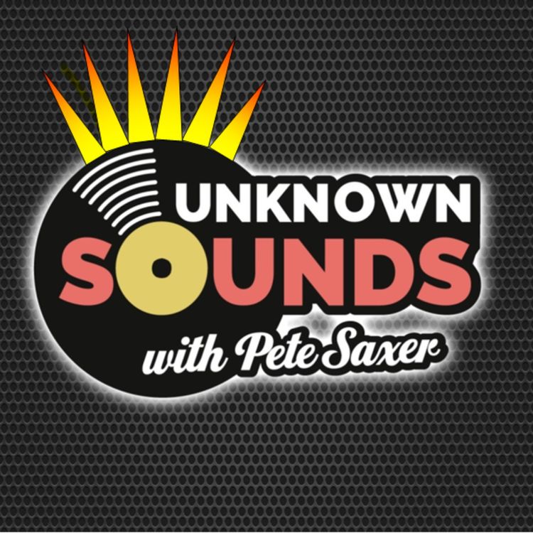 cover art for Unknown Sounds with Pete Saxer - Show 43 - Punk Special