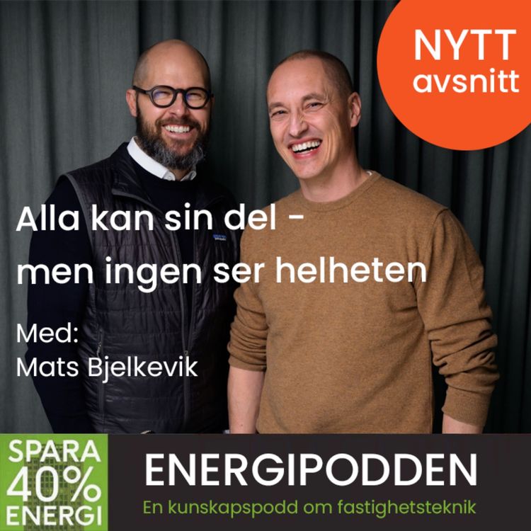cover art for Alla kan sin del – men ingen ser helheten 