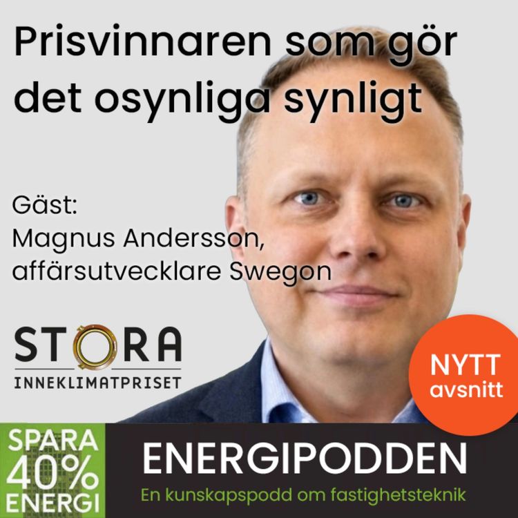 cover art for Prisvinnaren som gör det osynliga synligt