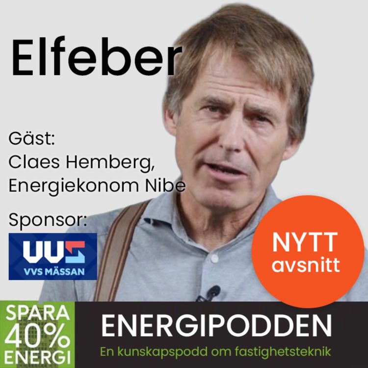 cover art for Elfeber