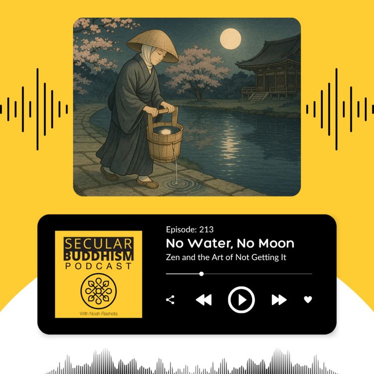 cover art for 213 - No Water, No Moon