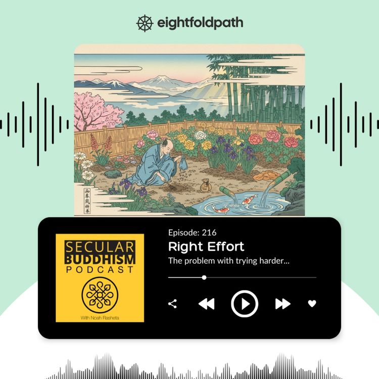 cover art for 216 - Right Effort