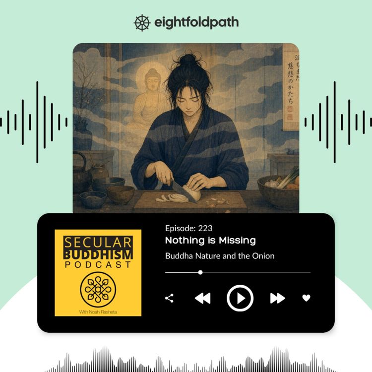 cover art for 223 - Nothing is Missing