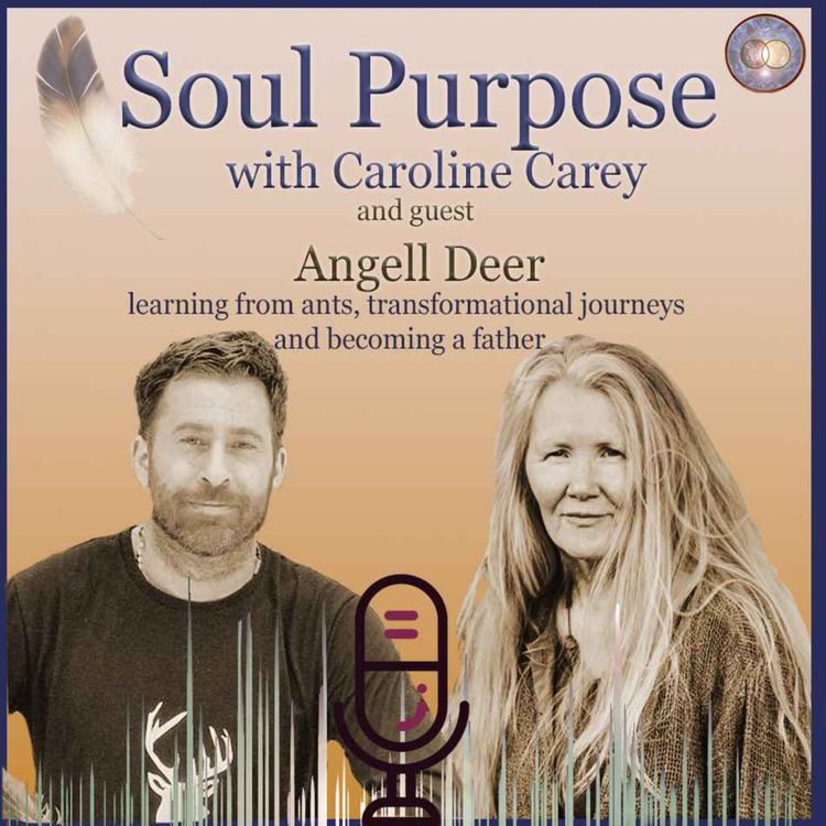 cover art for Learning from ants, transformational journeys and becoming a father with Angell Deer