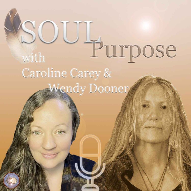 cover art for Plant Spirit Herbalism with Wendy Dooner