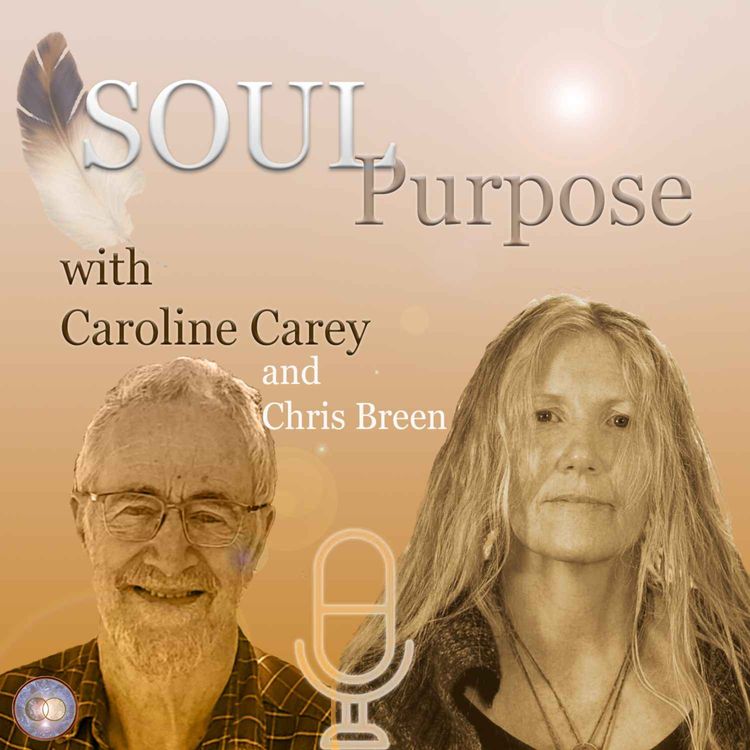 cover art for The Magic of Numbers, the Wild and Athletics with Chris Breen