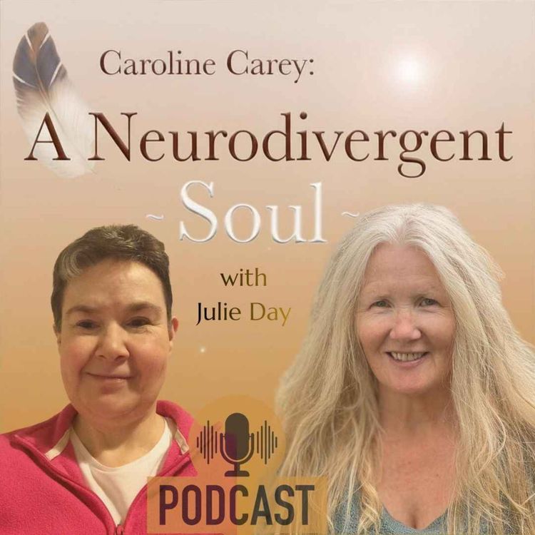 cover art for The Rainbow School, Autism and Endocarditis with Julie Day