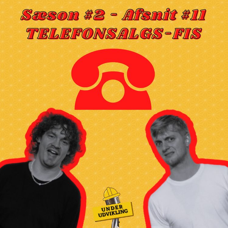 cover art for S02 E11 - Telefonsalgs-fis