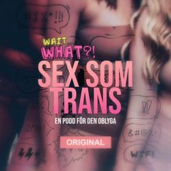 cover art for SEX SOM TRANS 