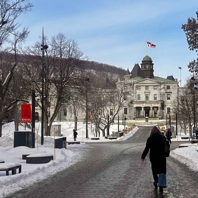 cover art for Challenging the use of AI in Quebec's Elementary Schools 