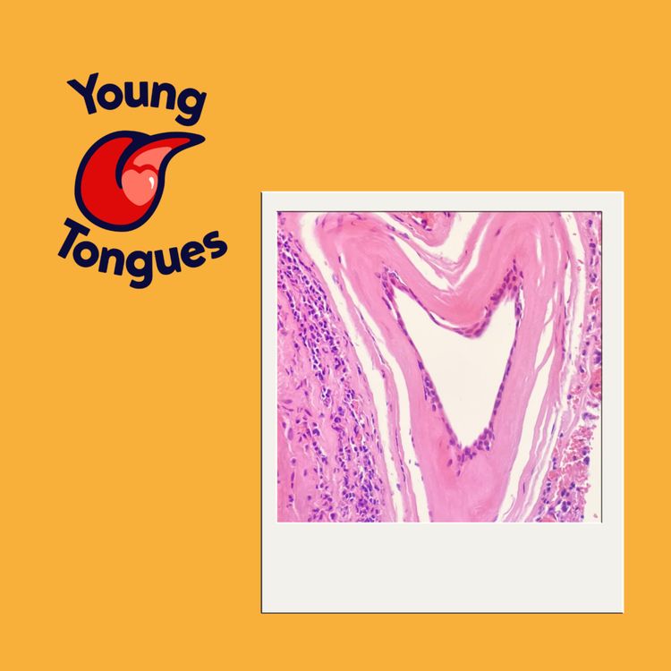 cover art for Expert Guest: Krishna Suchak