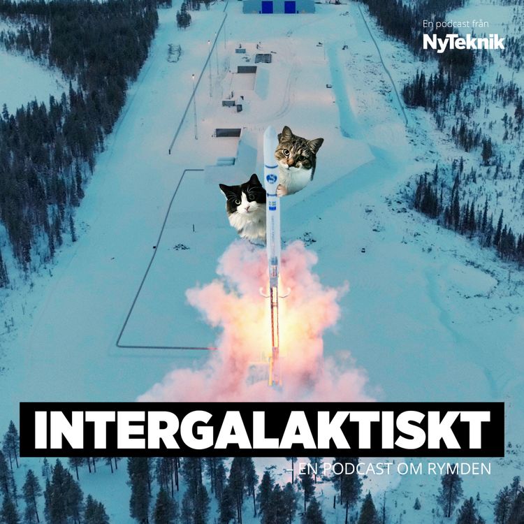 cover art for Sveriges satellitambitioner – då skjuter Viktor upp sina katter till rymden