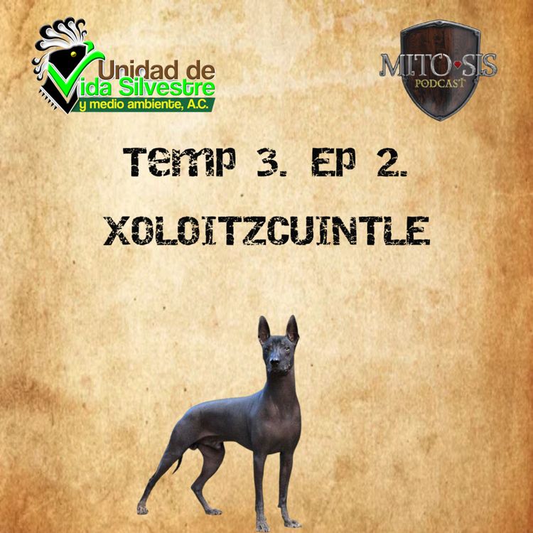 cover art for Temp.3 Ep 2. Xoloitzcuintle