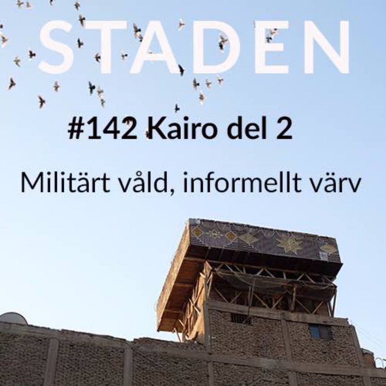 cover art for #142 Kairo del 2 – militärt våld, informellt värv