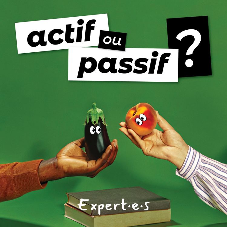 cover art for Gay dans un monde hétéro : se libérer des blocages du stress minoritaire 2/2