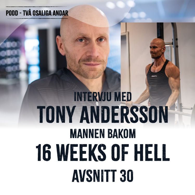 cover art for 30. 16 weeks of hell med Tony Andersson